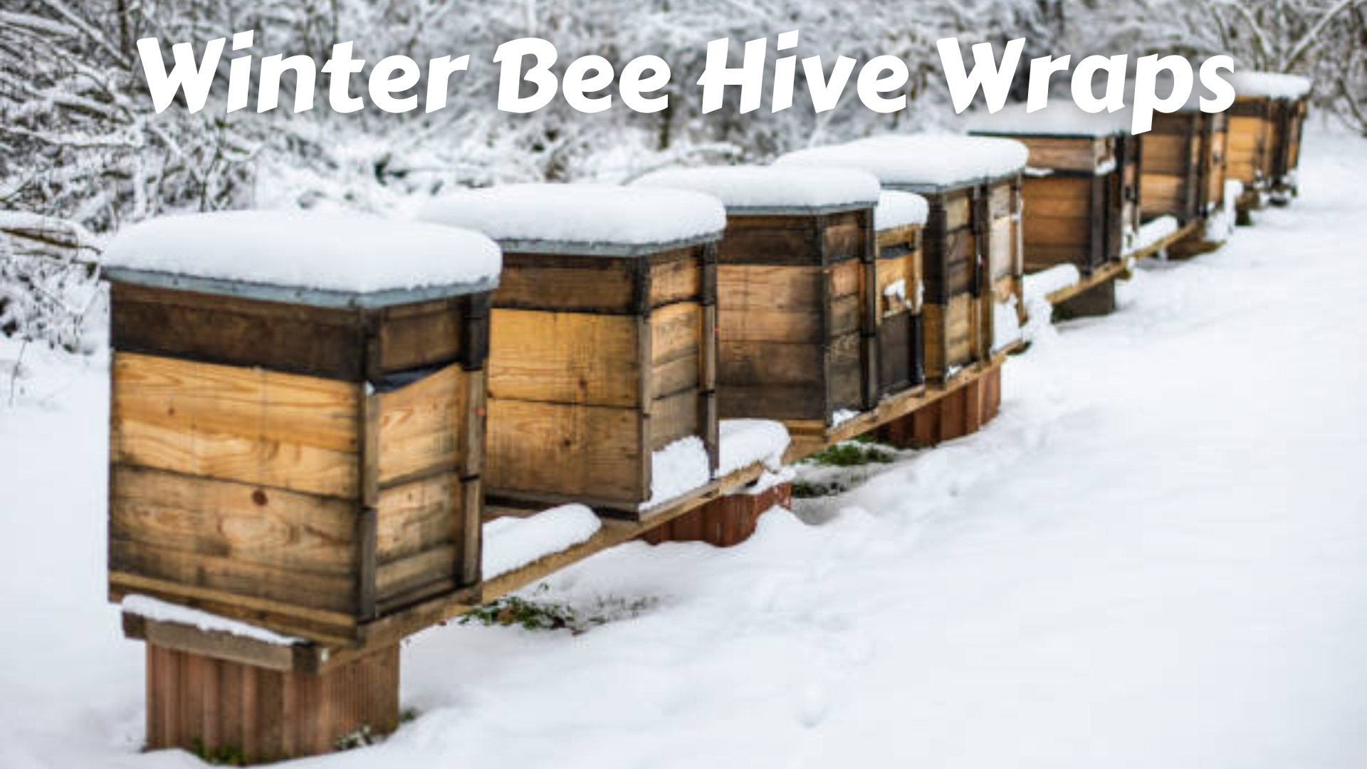 Winter Bee Hive Wraps