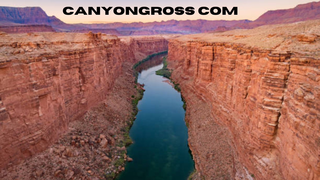 canyongross com