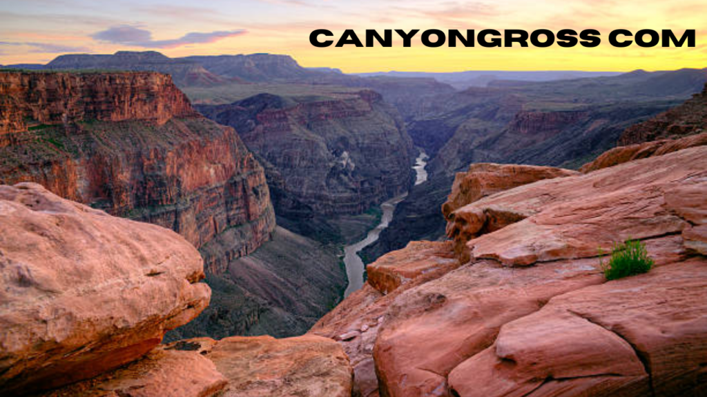 canyongross com