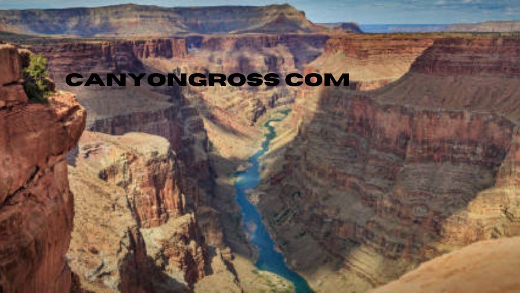 canyongross com