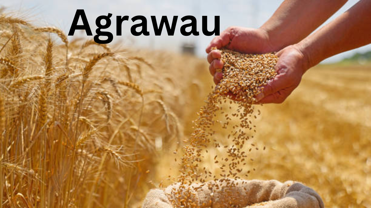 Agrawau