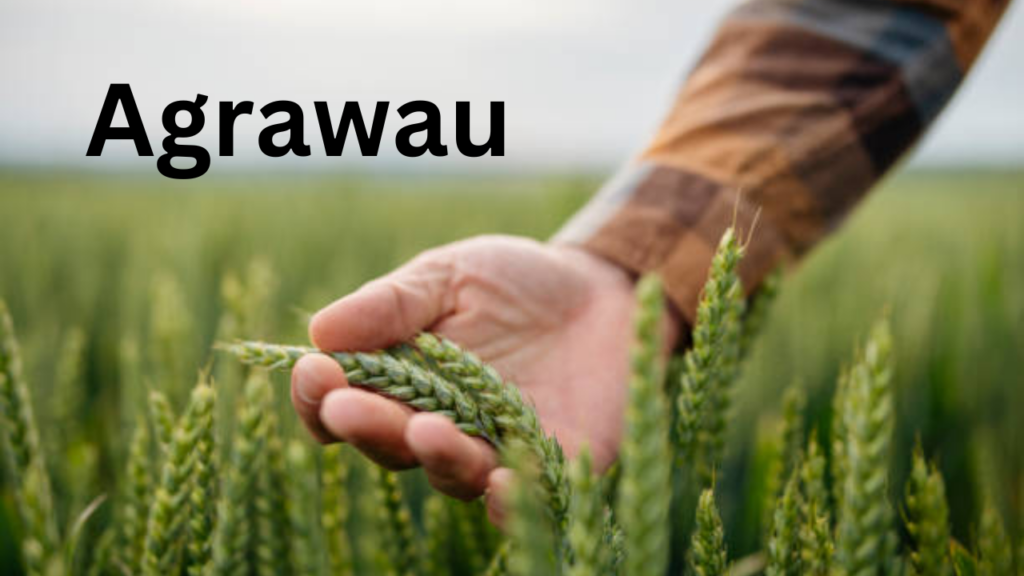 Agrawau